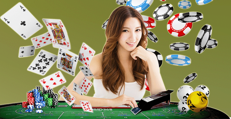 Reasons Behind The Popularity Of Live Online Casino Games – Poker Kat
