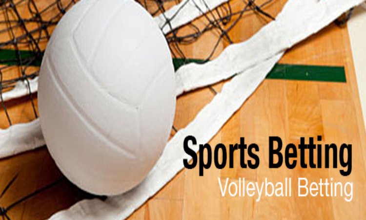 Profit From Betting On Volleyball
